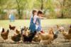 orig girls feeding chickens AdobeStock_63463670