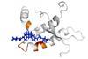 prion110219