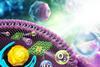 Cover-image_RSC