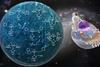 Figure EurJIC expanding the chemical space of allyl palladates-revised