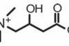 Carnitine.