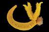 _20250826_on_worm