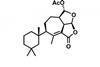 darwinolide190516