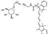 Links cyclofellitolaziridine, rechts een van de mogelijke labels.