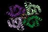 PDB_6nf4_Top_view,_colored,_cartoon_representation