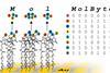 molbytes010519