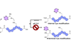Graphical abstract