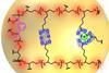 feringaplastic