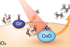 Kobaltoxide als katalysator