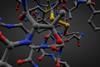 moleculen