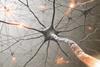 Neuron070518