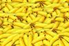 Bananen_pixabay