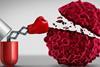 24-25-Start-up-Cristal-Therapeutics-website