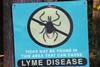 lyme-disease-warning-website