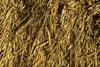 1280px-Straw_texture