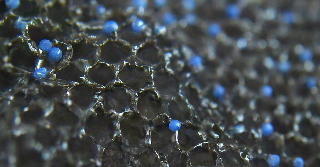 Cheap and sustainable crosscoupling photocatalyst English ScienceLink