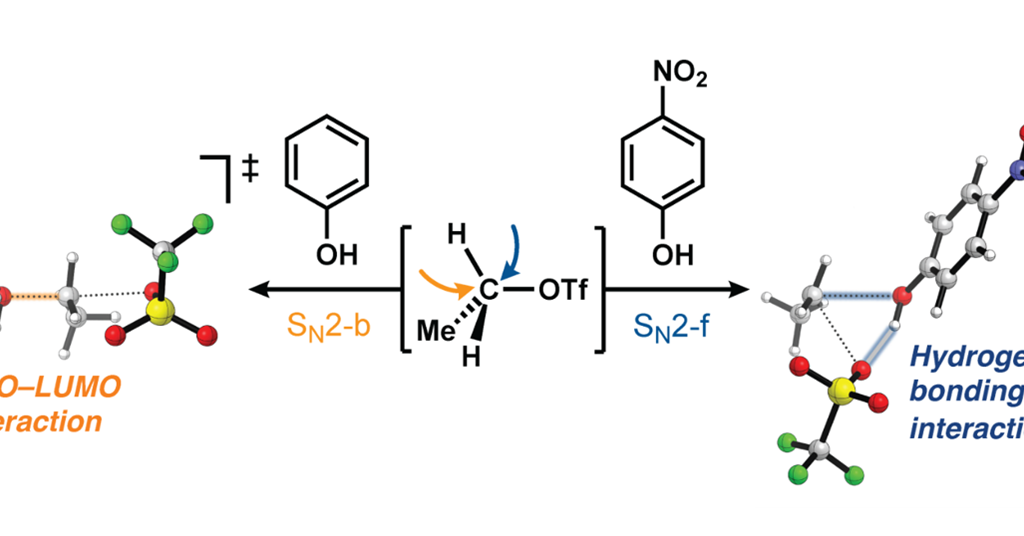 SN2 takes a different approach | International | ScienceLink
