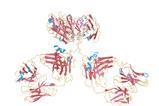1igy-ribbon-bychain-vis_thumb_NIH3D