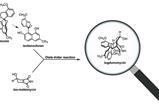 Lugdunomycin