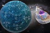 Figure EurJIC expanding the chemical space of allyl palladates-revised