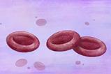 blood cells