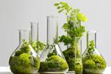Greenchemistry