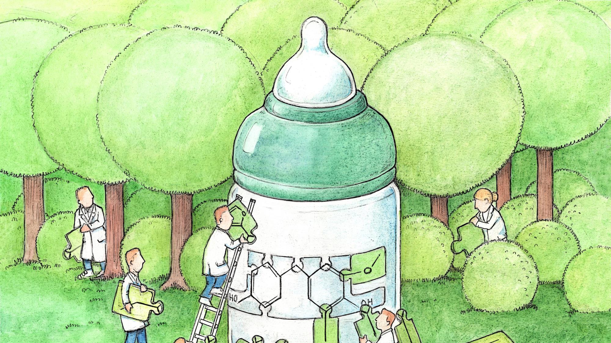 Bisfenolalternatief uit het bos | Nieuws | ScienceLink