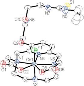 Crystal structure of the new gallium-fluorine complex.