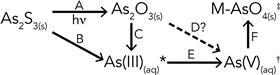 Different degradation pathways