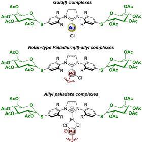 thioglucosidemetaalcomplexen