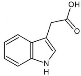 Auxine (indol-3-azijnzuur) zorgt bij planten voor actie door afbraak   van remmers van transcriptie­factoren in gang te zetten.