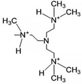 De functionele groep (zit met de linker N aan de rest van het molecuul vast).