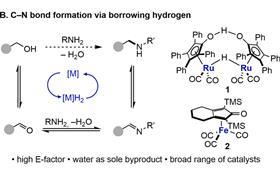 chem202500077-fig-0001-m