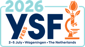 logo_ysf