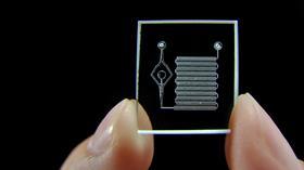 CKMN-lab-on-a-chip