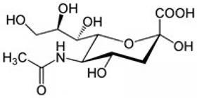 N-acetylneuraminozuur