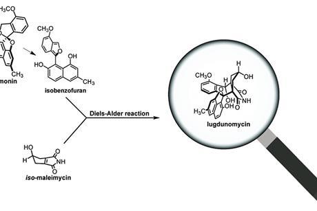 Lugdunomycin
