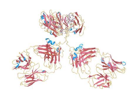 1igy-ribbon-bychain-vis_thumb_NIH3D