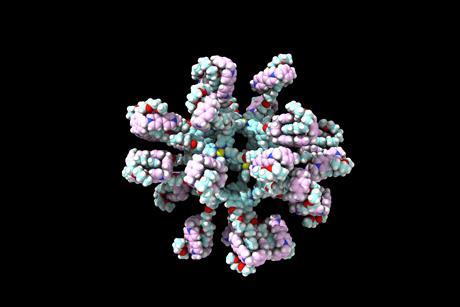 Nanoparticle