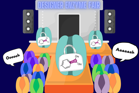 Designer enzyme fair