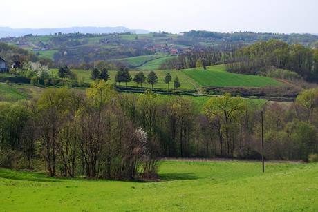 shutterstock_1945146184