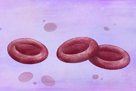 blood cells