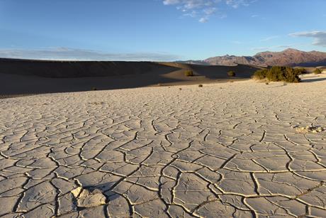 shutterstock_2615076293