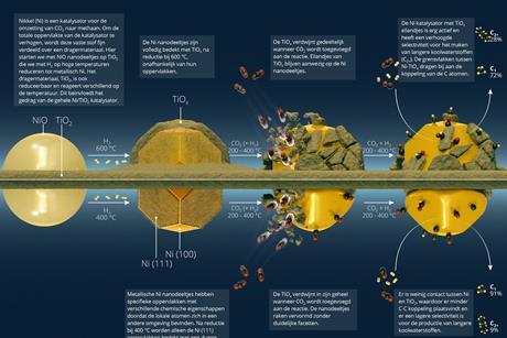 SMSI_Infographic_horizontal_NL