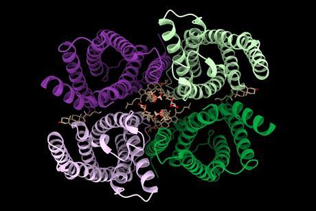 PDB_6nf4_Top_view,_colored,_cartoon_representation