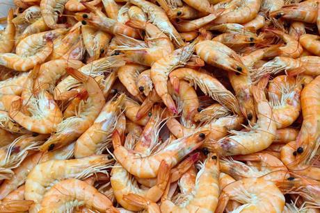 shrimp-g1e8c351fc_1280