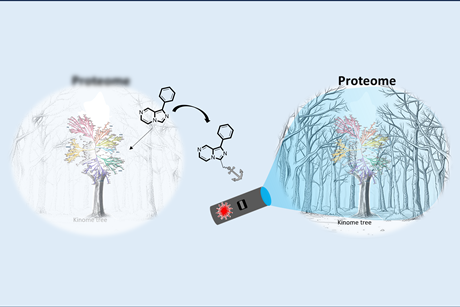 Lighting up the proteome forest