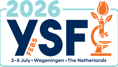 logo_ysf