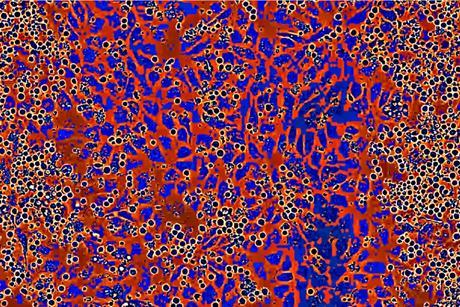 BW_Niche-Expansion_Colorized82_crop (003)__