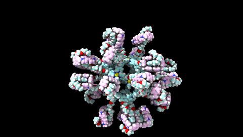 Nanoparticle